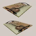 005.webp